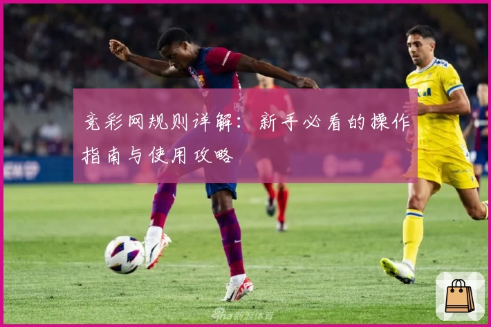 竞彩网规则详解：新手必看的操作指南与使用攻略